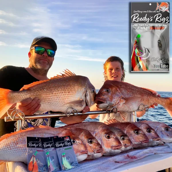 Two anglers displaying a full bag of snapper caught using Reedy’s Scallop Flasher Paternoster Rigs