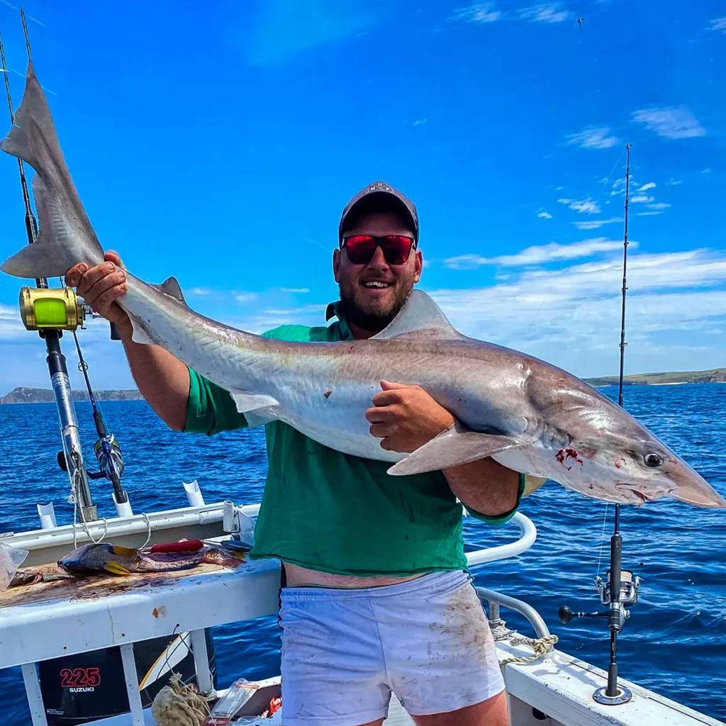 Angler holding a school shark caught on Reedy’s Scallop Flasher Paternoster Rig
