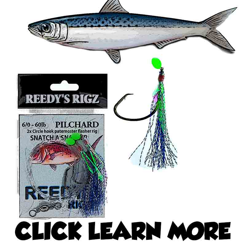 Port Phillip Bay Snapper Best Rig , Fishing Port Phillip Bay Rig