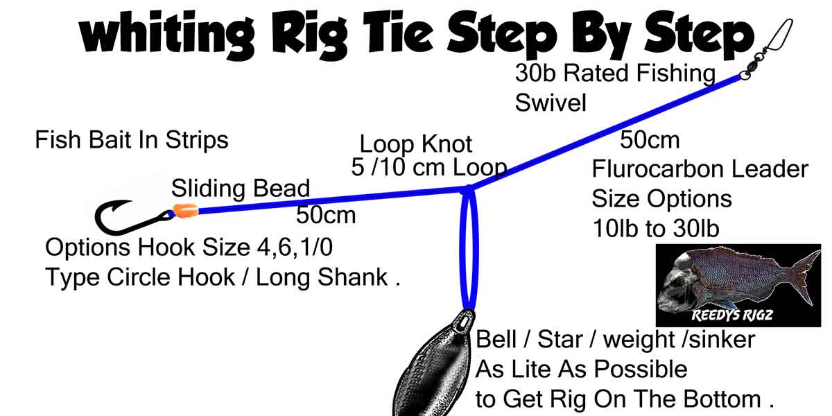 Whiting Rig Diagram Make Bottom Fishing Rigs Easy Setup Video Tutorial