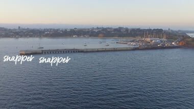 Mornington Pier fishing spot - snapper, squid and salmon land-based fishing Victoria