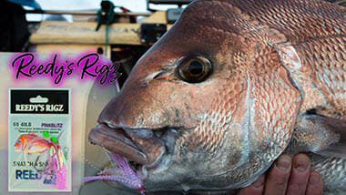 Snapper Rig diagram ,fishing Rig tying ,Bait ,Fishing ,How to Video fishing