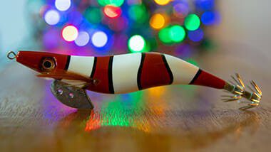 squid fishing , squid jig, how to squid, tackle for squid, egi hig