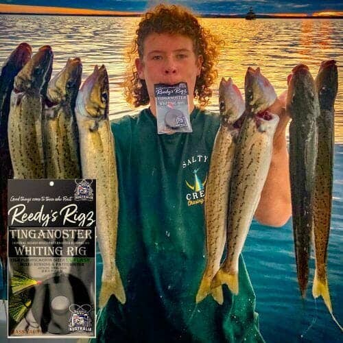 How To Catch king George Whiting | Clean | Rig & Bait