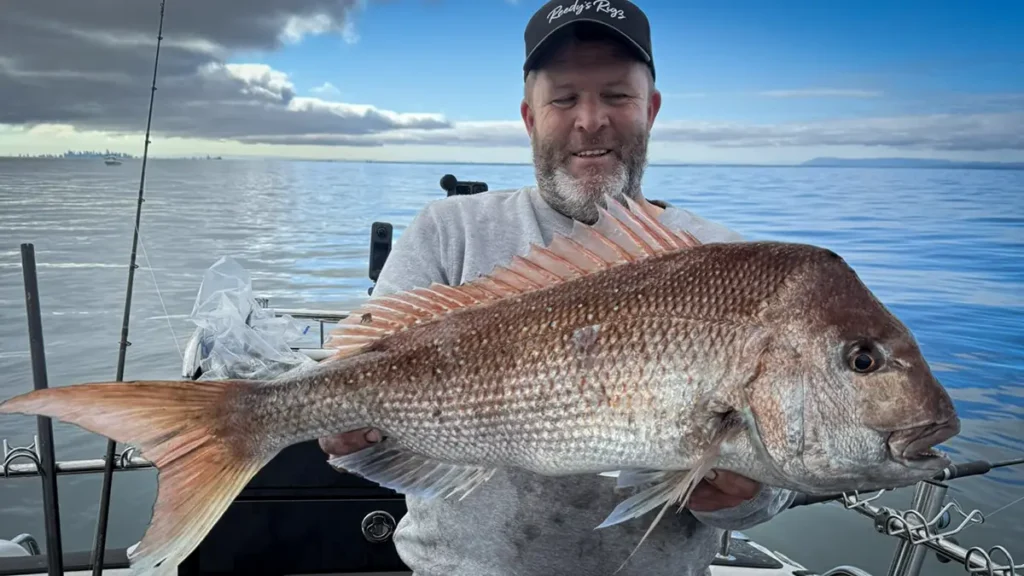 snapper, winter snapper, fishing , snaper