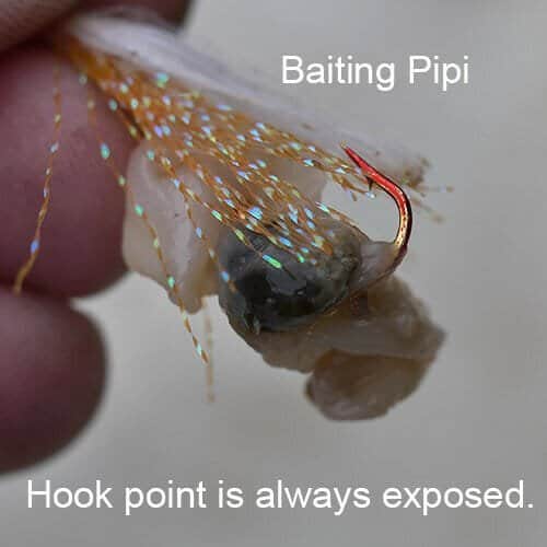 Bait presentation for King George Whiting — squid neatly threaded on a long-shank hook