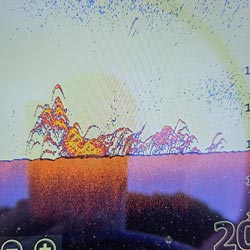 Snapper school on Lowrance fish finder