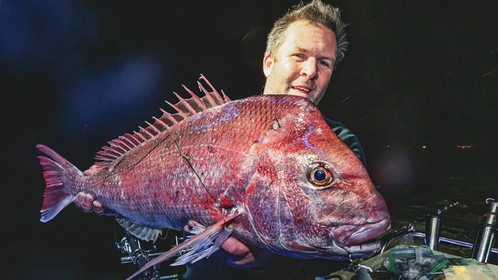 westernport-Snapper-night-fishing.