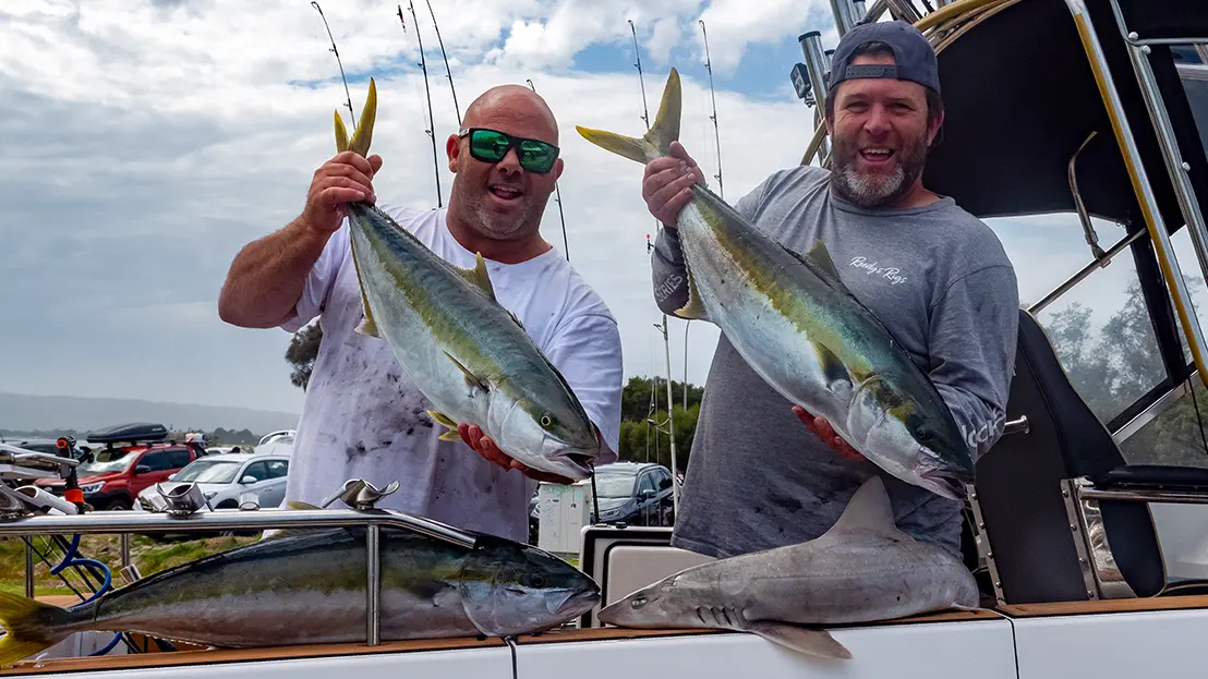 kingfish-vic-the-rip