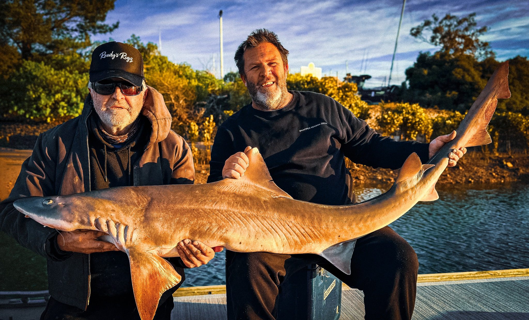 world record gummy shark, 31.5kg gummy shark Westernport, Reedy’s 187 Lumo Hook catch, biggest gummy shark on 187 hook, gummy shark caught in Victoria, record-breaking shark caught in Westernport, fishing hook for gummy shark, Reedy’s Rigs hook lands world record shark