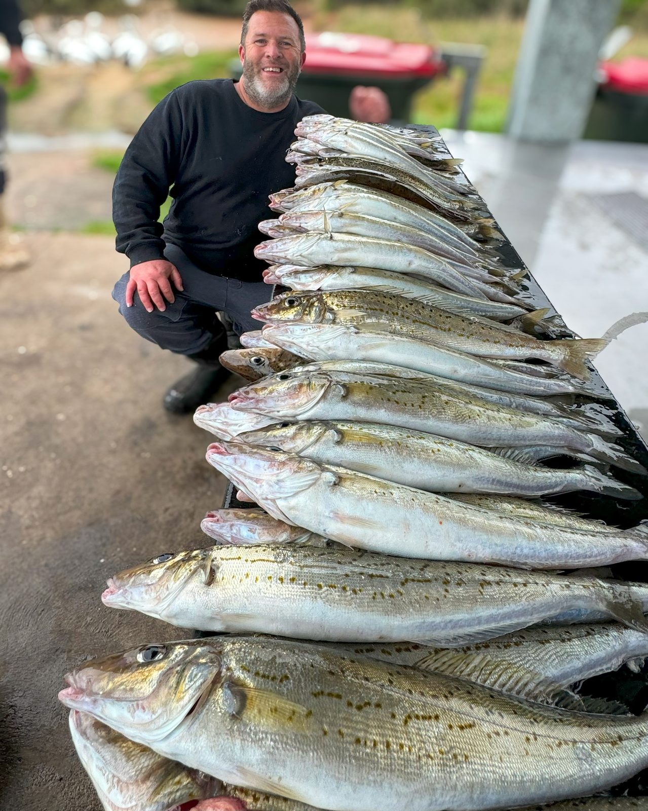 Reedy's Longshank Size 4 hooks for whiting fishing