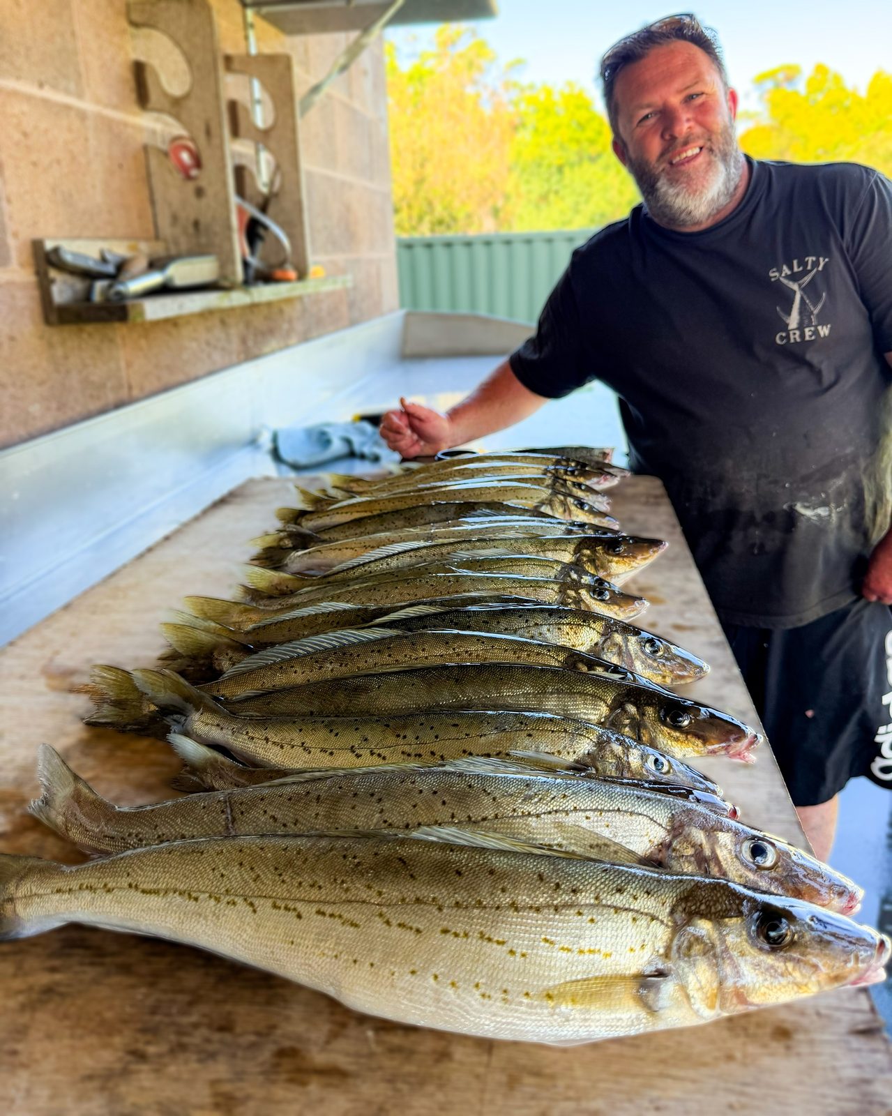 Brett Reed with a massive King George Whiting catch including trophy-size fish using Reedy's Tinganoster rig