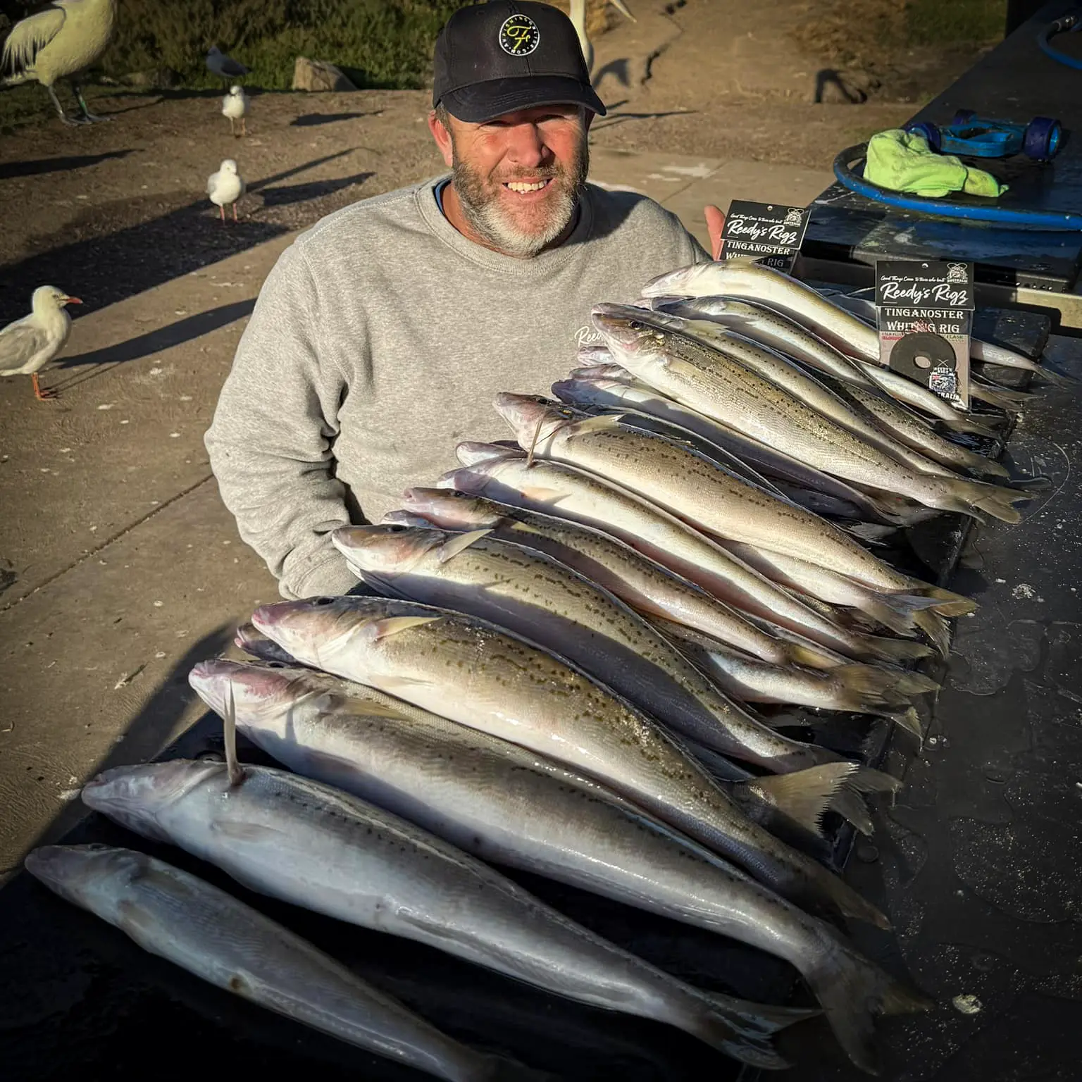 Massive King George whiting catch using Reedy's Tinganoster Whiting Rig - pre-tied paternoster rig stocked at BCF and Anaconda