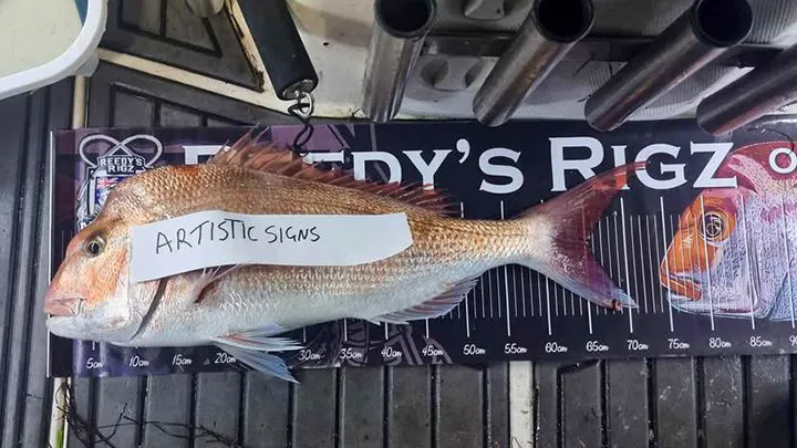 Example of a valid Lord of the Snapper entry photo — snapper on a Reedy's Rigs brag mat with the code word on top