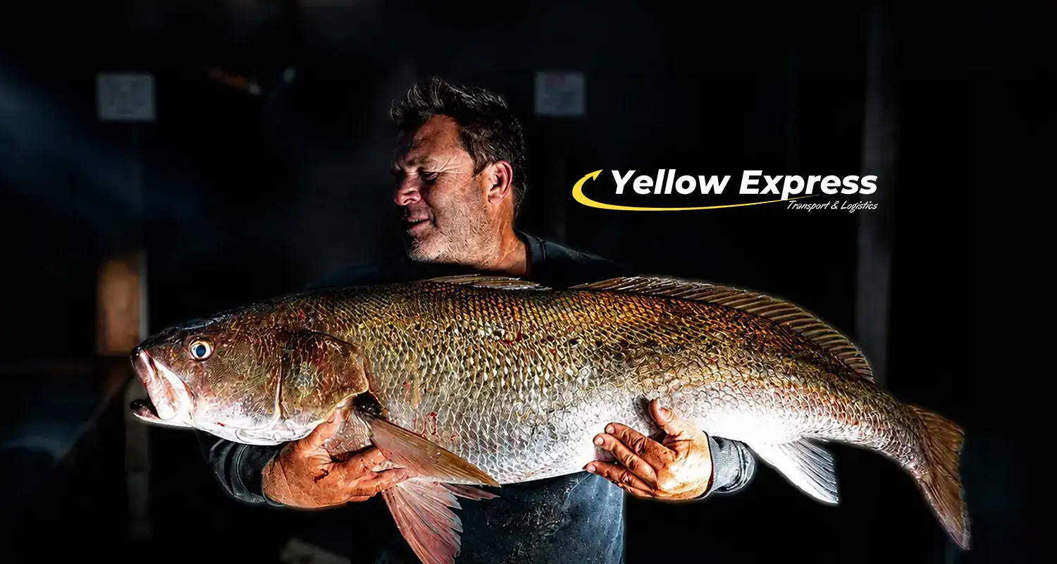 Mulloway caught on Reedy's Rigs 187 LumoHooks