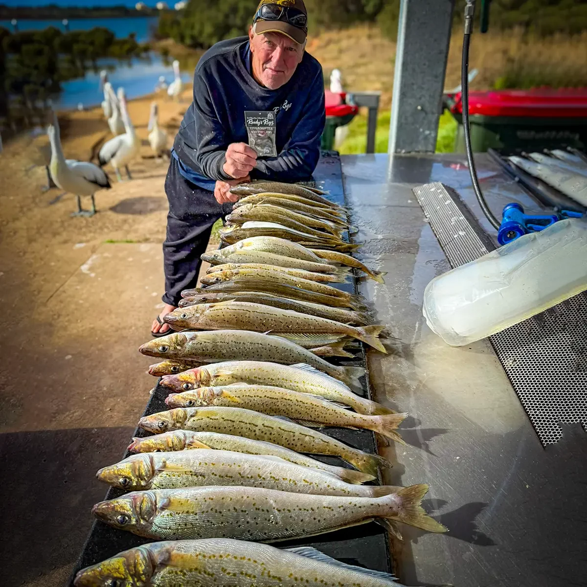 angler show his caught on reedys tinganoster